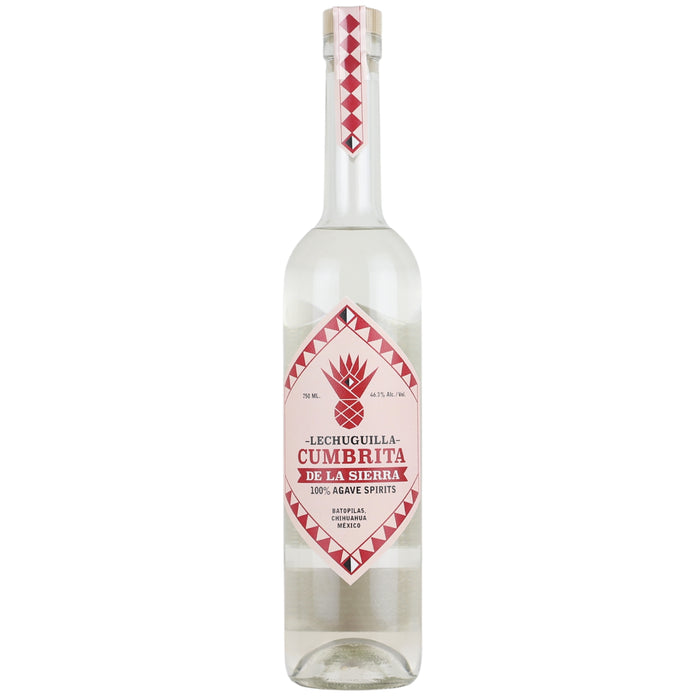 Lechuguilla Cumbrita De La Sierra Chihuahua Agave Spirit